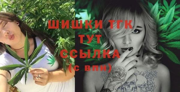 прущие грибы Лабытнанги