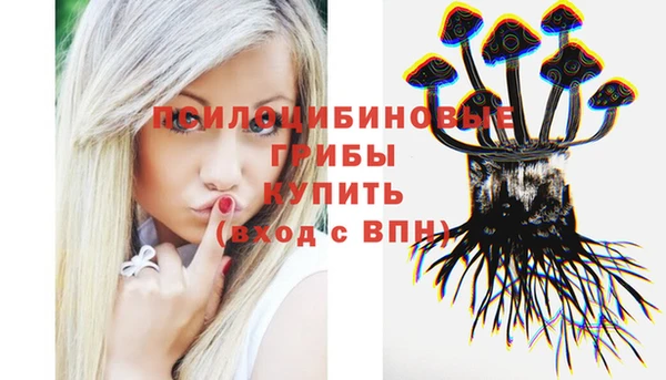 тгк Армянск